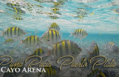 Cayo Arena | Dominican Republic | Privilege Club - #VacationAsYouAre