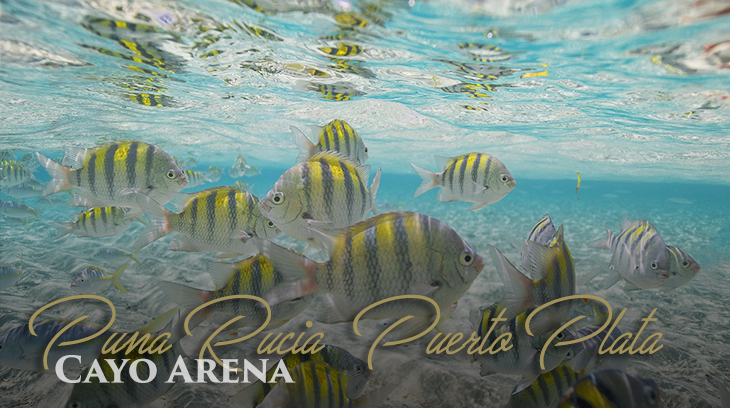 Cayo Arena | Dominican Republic | Privilege Club - #VacationAsYouAre
