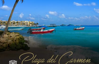 Playa del Carmen. TripAdvisor. | Privilege Club - #VacationAsYouAre