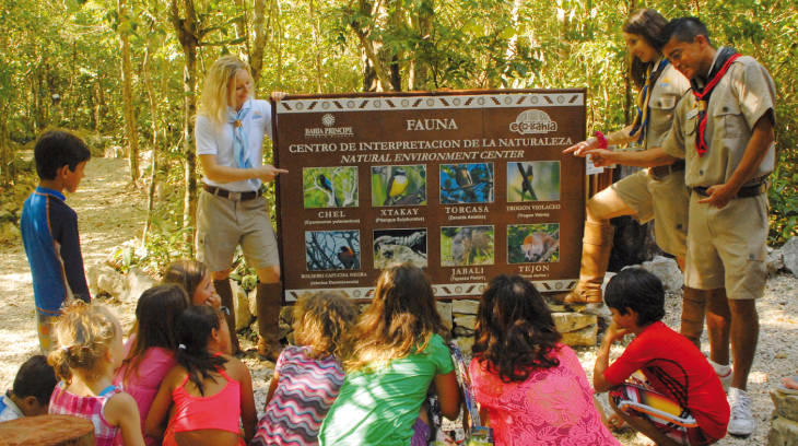 Eco-Bahia: Wildlife feeding tips