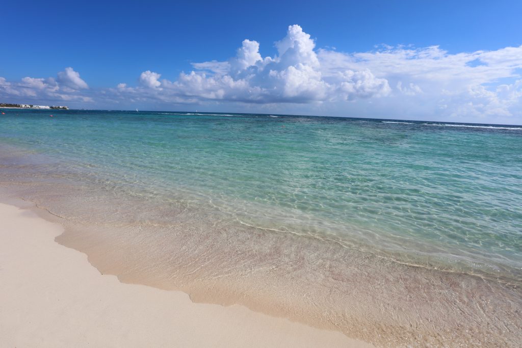 reduction-of-sargassum