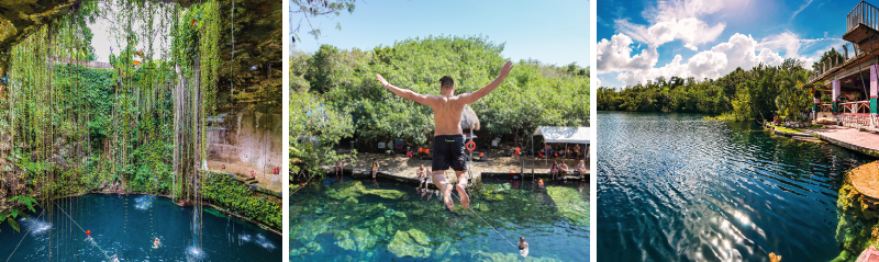 natural pool-piscina natural-piscine naturelle