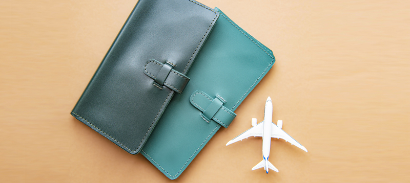 Travel Accessories And Gadgets