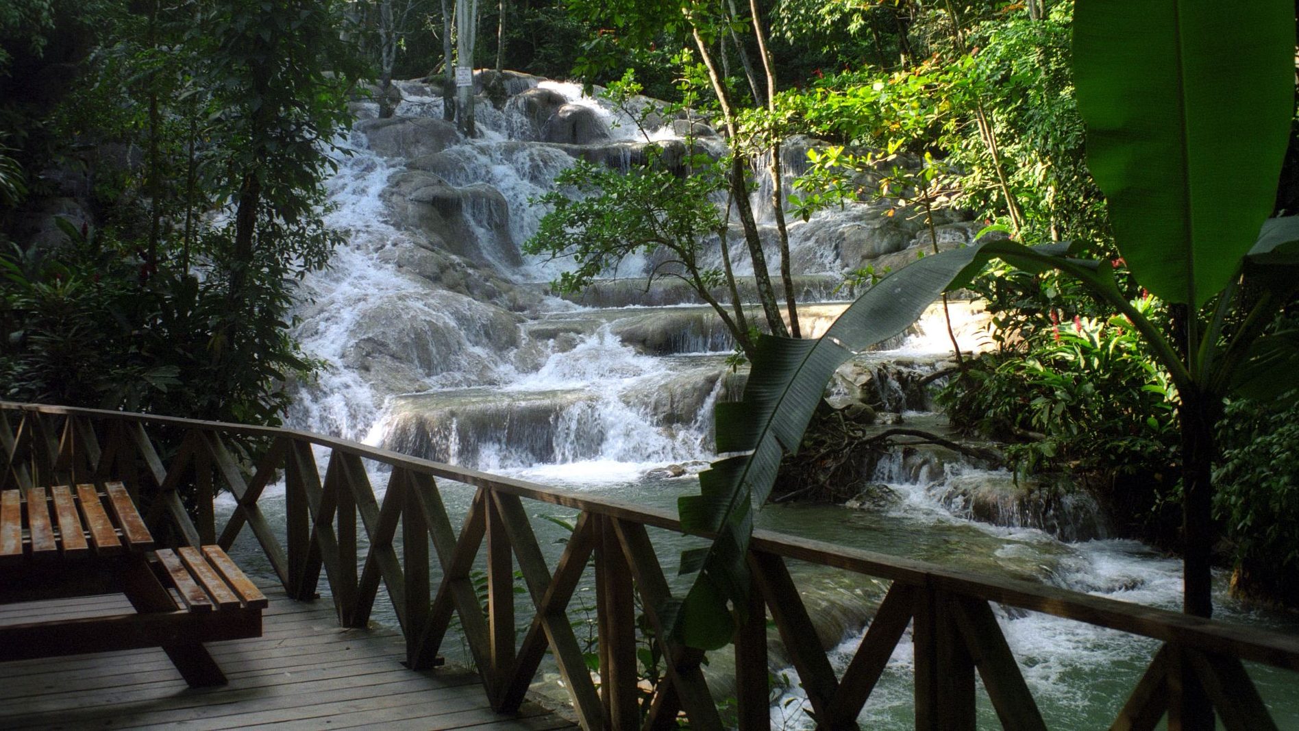 Traveling to Jamaica